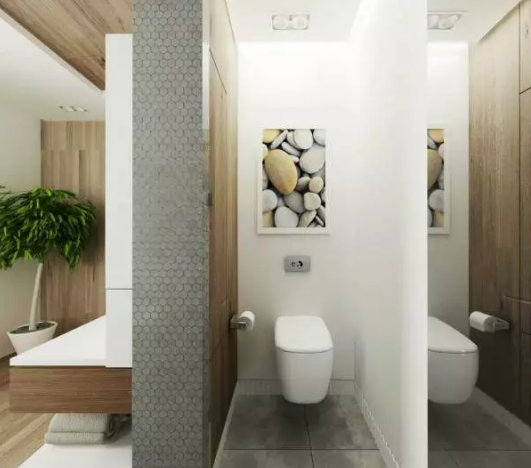 地下室衛(wèi)生間 地下室衛(wèi)生間